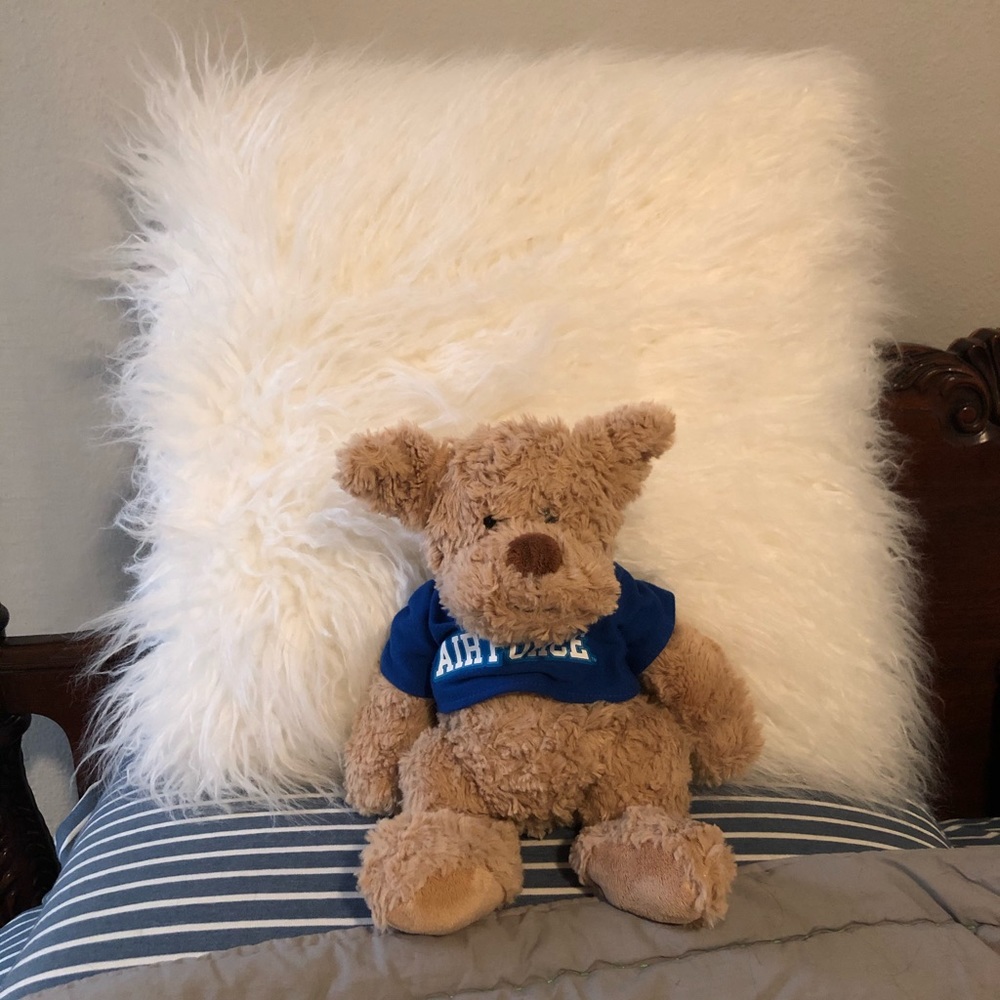 Fluffy White Accent Pillow :-)